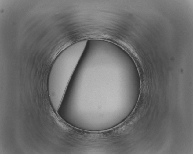 X0000090450889200707130926