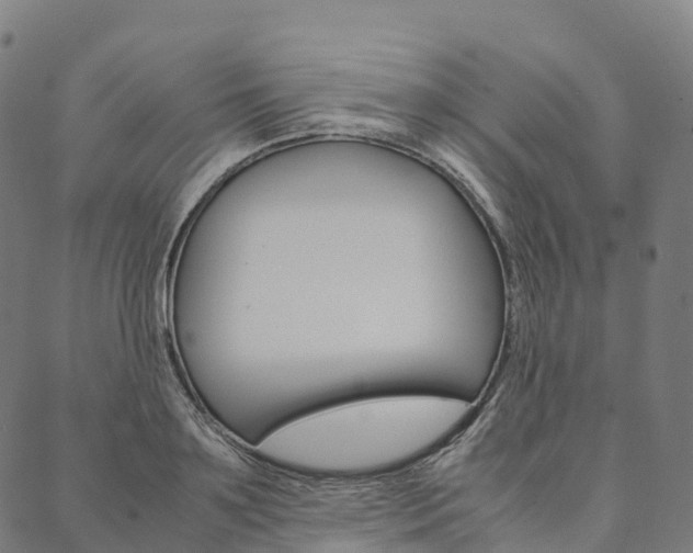 X0000090450891200707130926