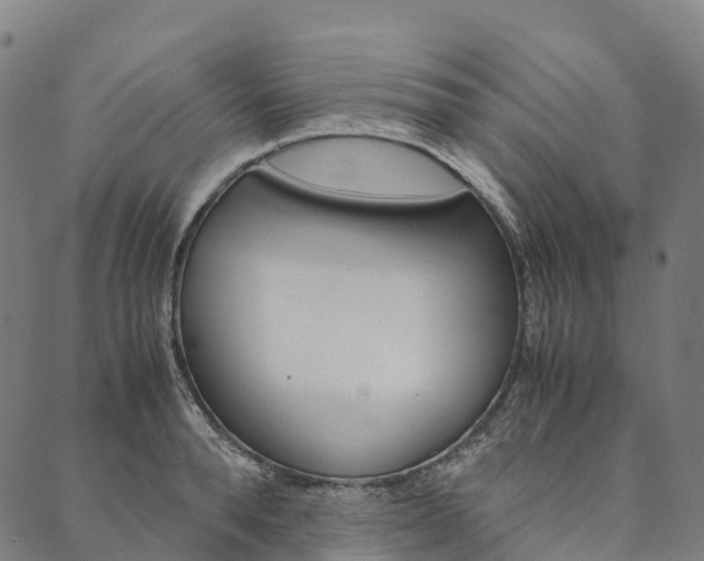 X0000090450896200707130926