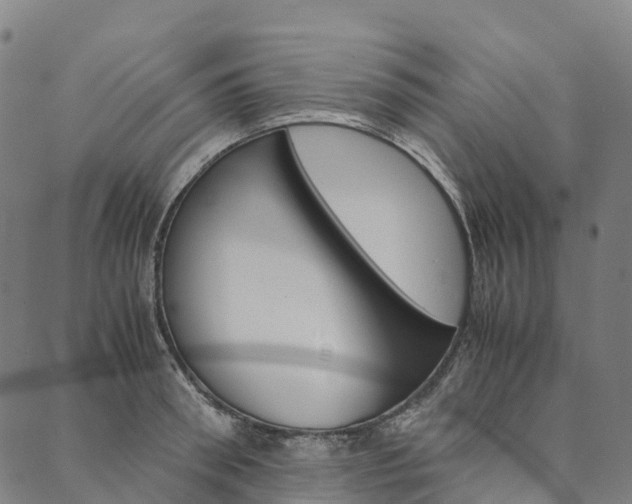 X0000090450898200707130926