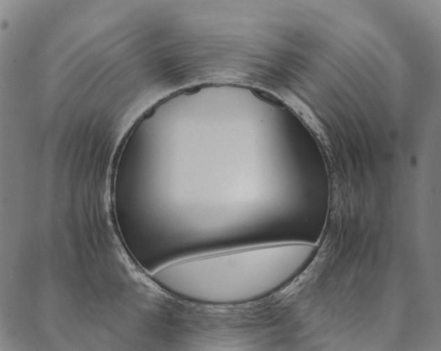 X0000090450904200707130926