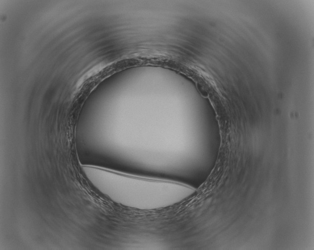 X0000090450920200707130925