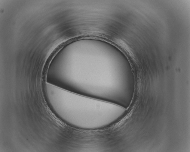 X0000090450924200707130925