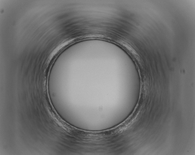 X0000090450933200707130925