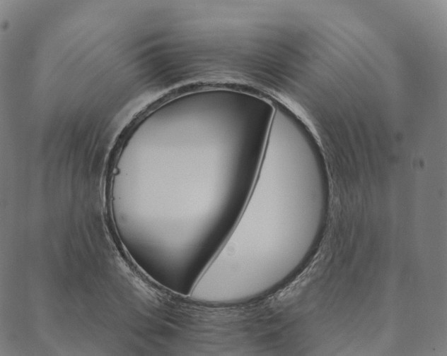 X0000090450935200707130925