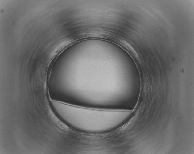 X0000090450938200707130925