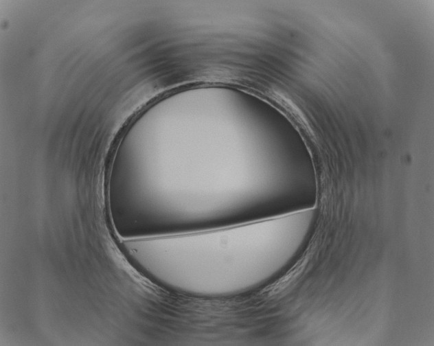 X0000090450939200707130925
