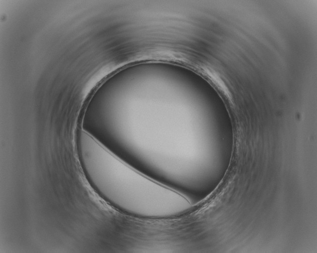 X0000090450944200707130925