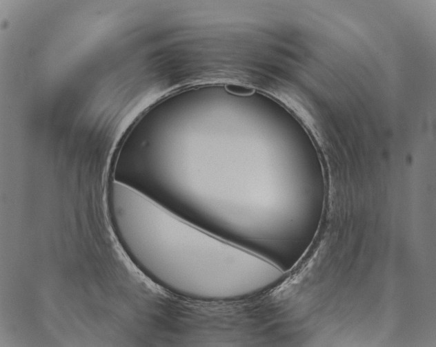 X0000090450949200707130925