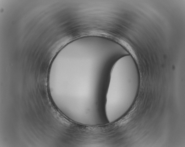 X0000090450954200707130925