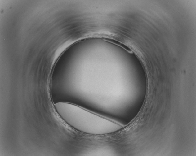 X0000090450960200707130925