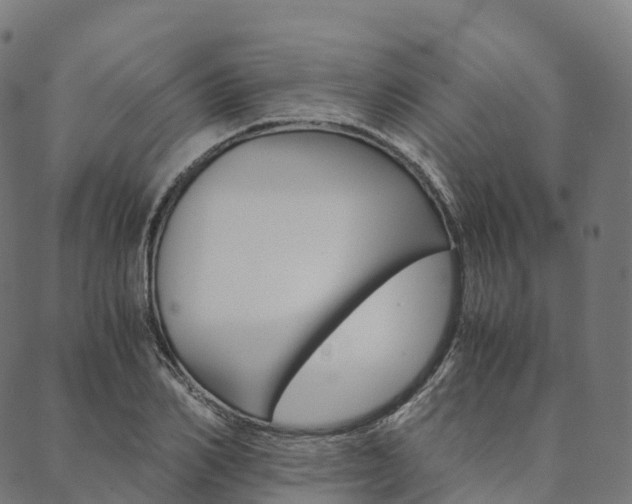 X0000090450982200707130924