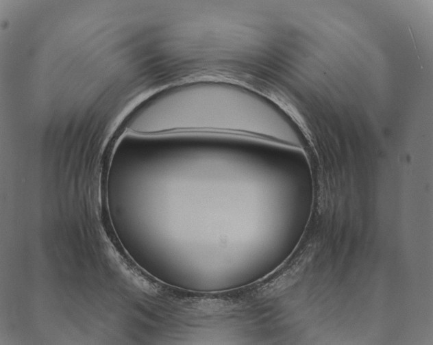 X0000090450984200707130924