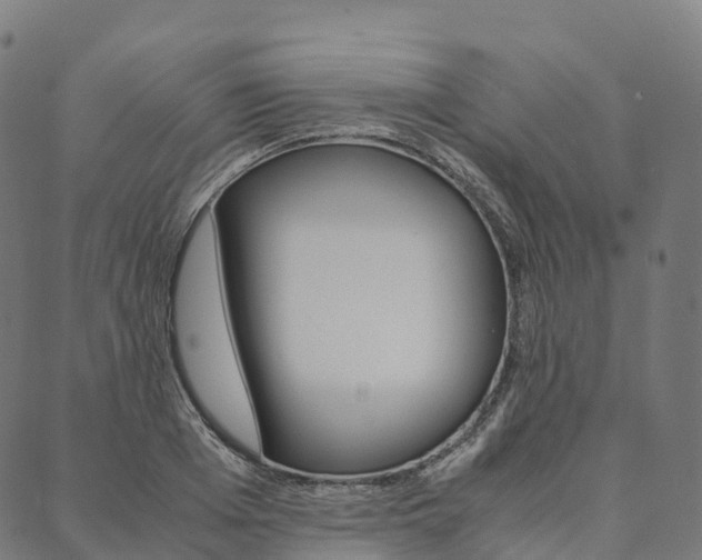 X0000090450985200707130924