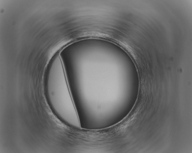 X0000090450987200707130924