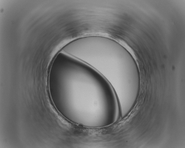 X0000090451005200707130924