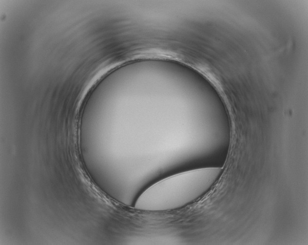 X0000090451008200707130924