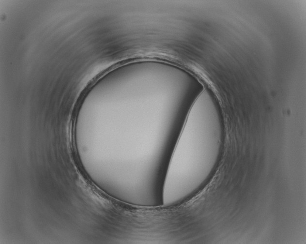 X0000090451032200707130923