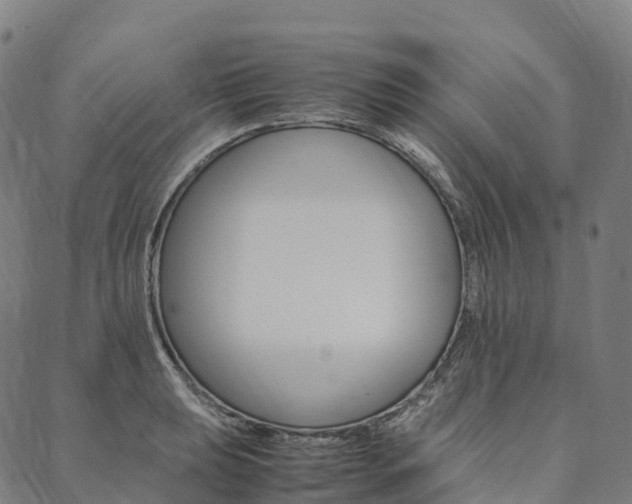 X0000090451039200707130924