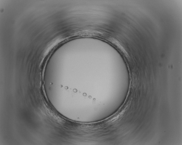 X0000090451075200707130923