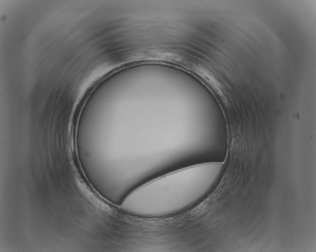 X0000090451080200707130923