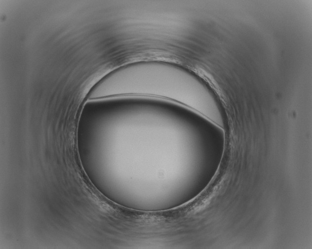 X0000090451081200707130923