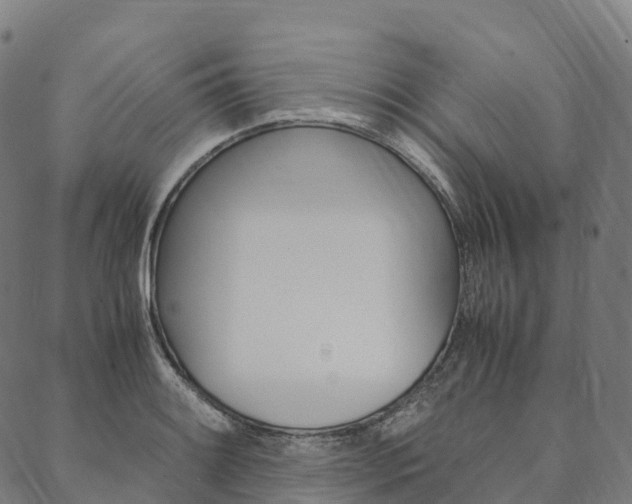 X0000090451084200707130923