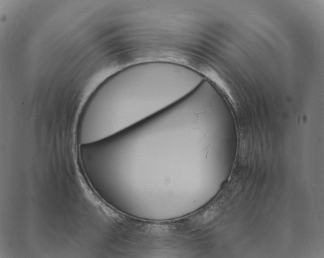 X0000090451088200707130923