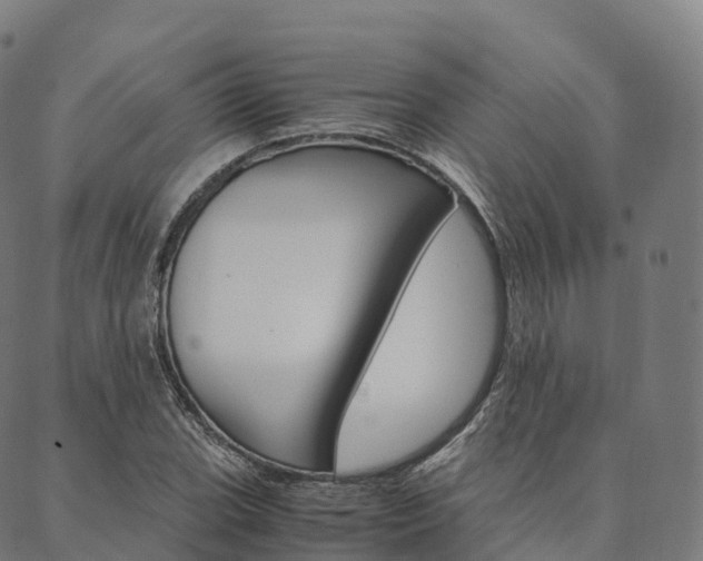 X0000090451119200707130922