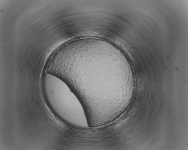 X0000090451125200707130922