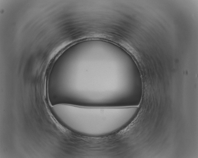 X0000090451127200707130922