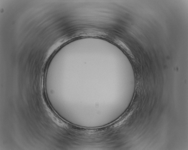 X0000090451130200707130922