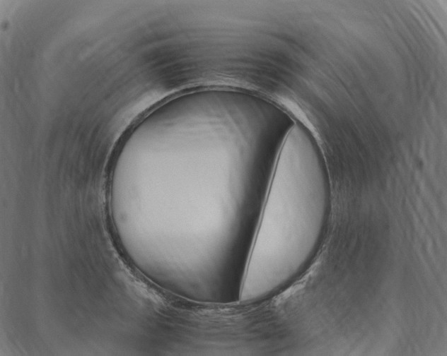 X0000090451133200707130922