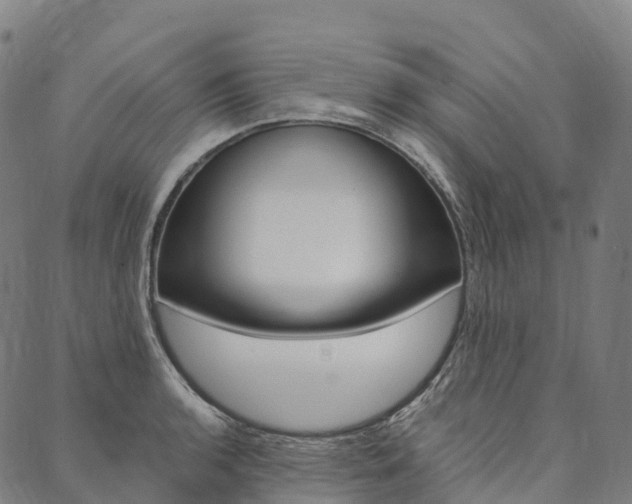 X0000090451136200707130922
