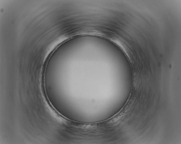 X0000090451139200707130922