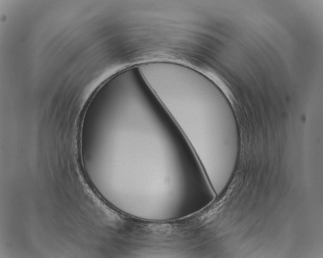 X0000090451142200707130922