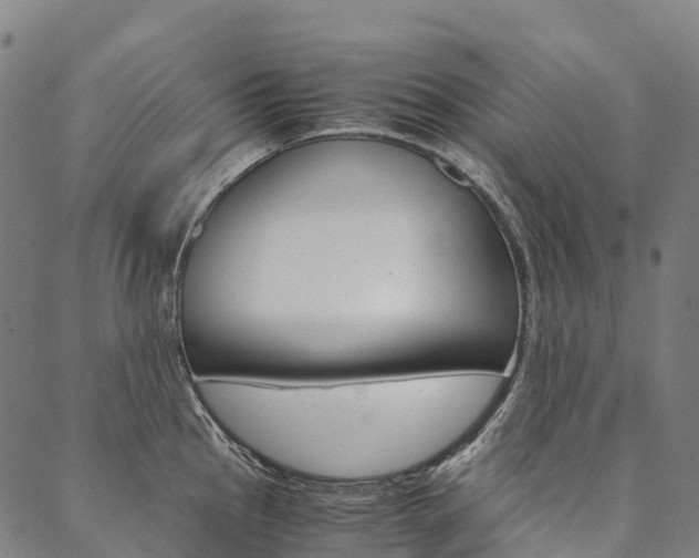 X0000090451145200707130922