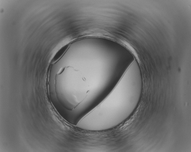 X0000090451146200707130922