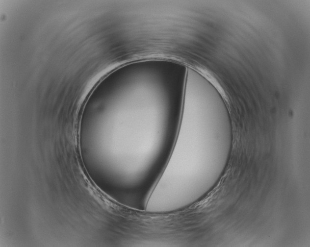 X0000090451148200707130922