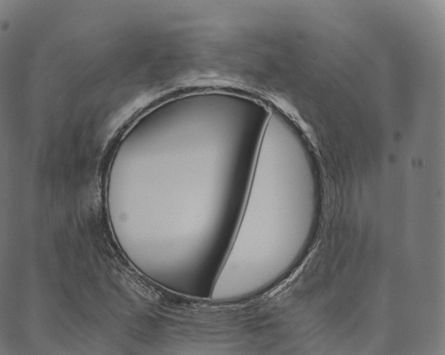 X0000090451167200707130921
