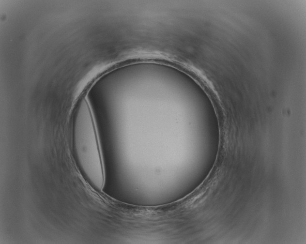 X0000090451175200707130921