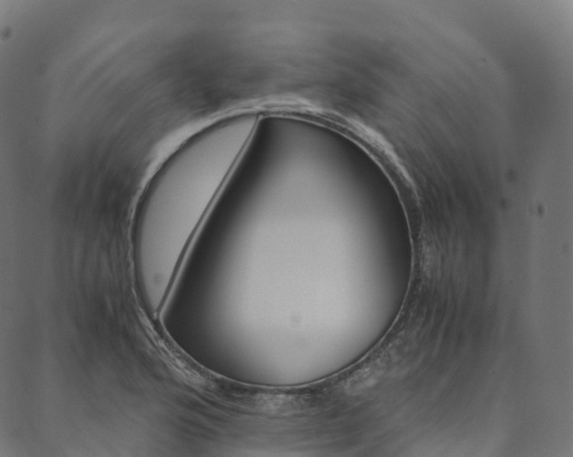 X0000090451176200707130921