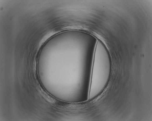 X0000090451179200707130921