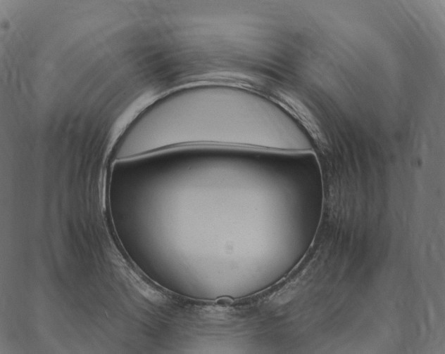 X0000090451180200707130921