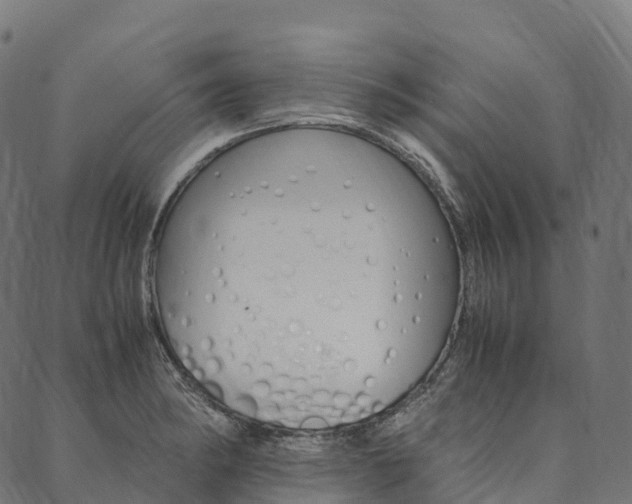 X0000090451182200707130921