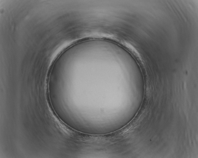 X0000090451183200707130921