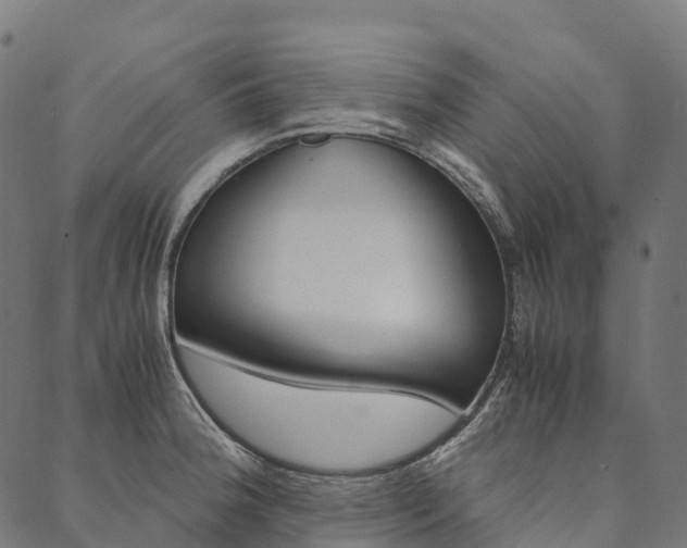 X0000090451188200707130921