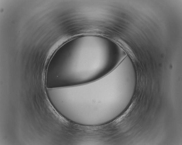 X0000090451196200707130921