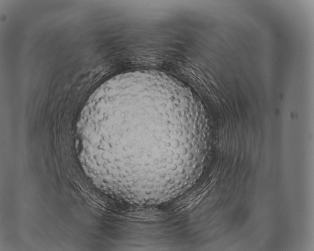 X0000090451201200707130920