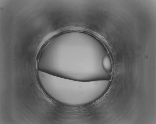 X0000090451223200707130920